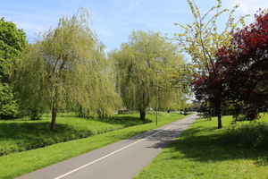 Photo 8- click for photo gallery